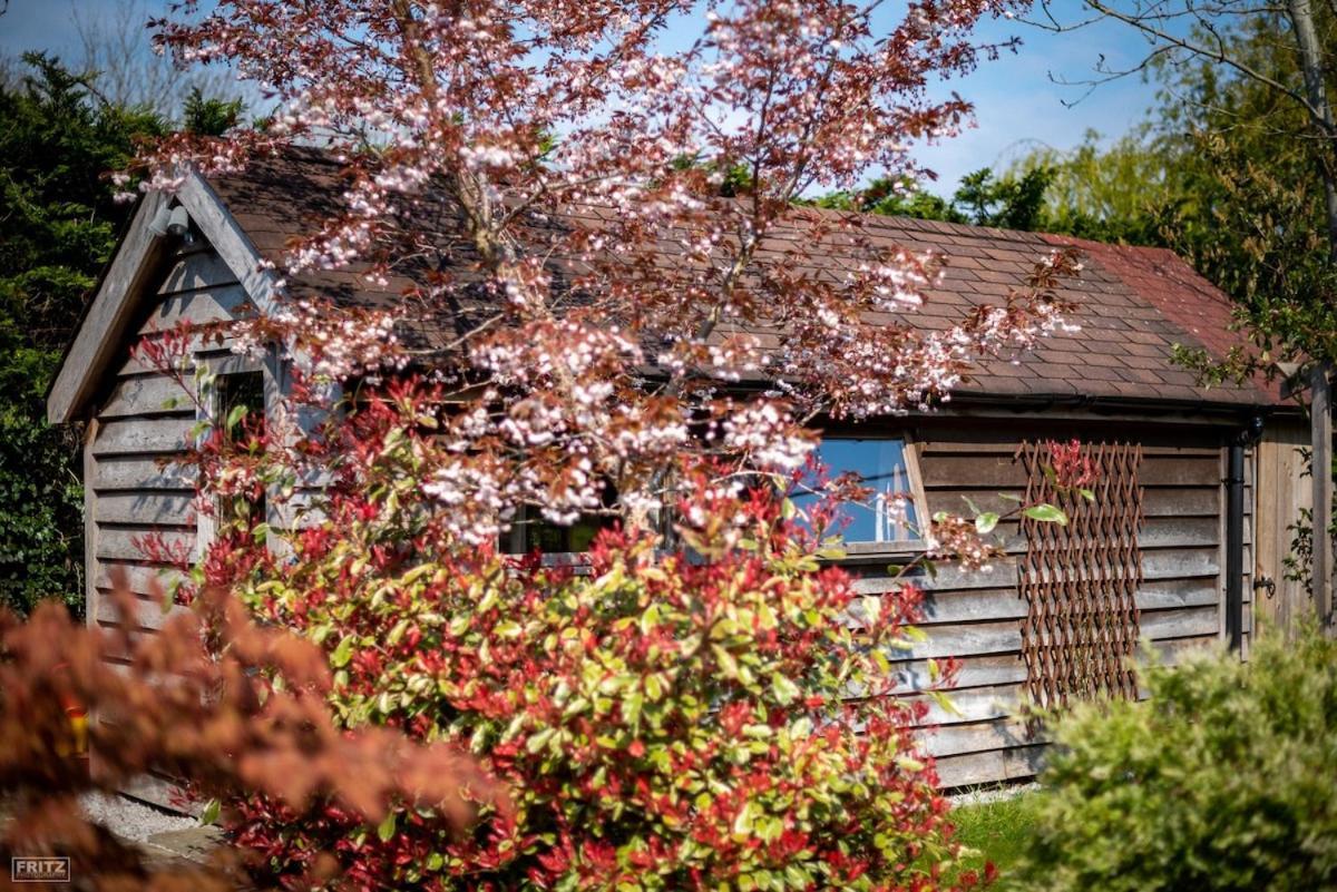 Villa The Tool Shed Nestled In Idyllic Countryside à Linchmere Extérieur photo