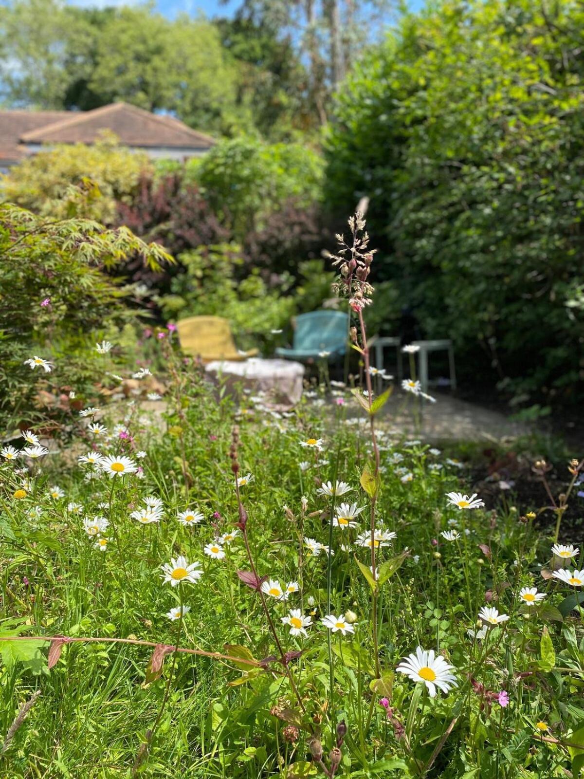 Villa The Tool Shed Nestled In Idyllic Countryside à Linchmere Extérieur photo